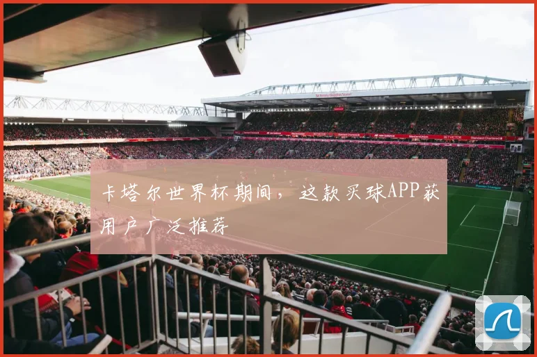 卡塔尔世界杯期间，这款买球APP获用户广泛推荐