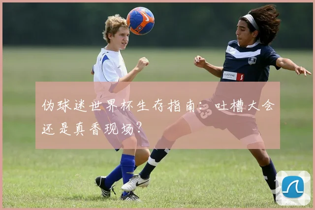 伪球迷世界杯生存指南：吐槽大会还是真香现场？