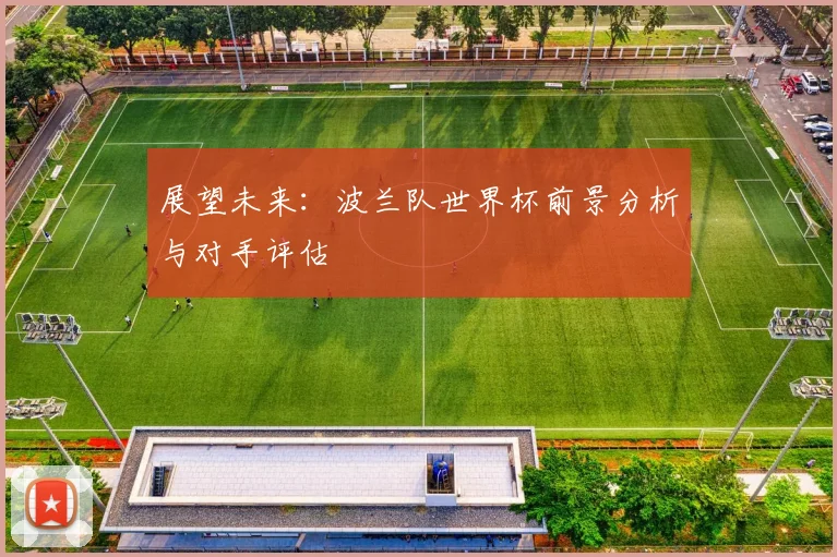 展望未来：波兰队世界杯前景分析与对手评估