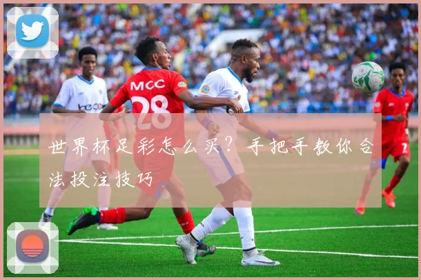 世界杯足彩怎么买？手把手教你合法投注技巧