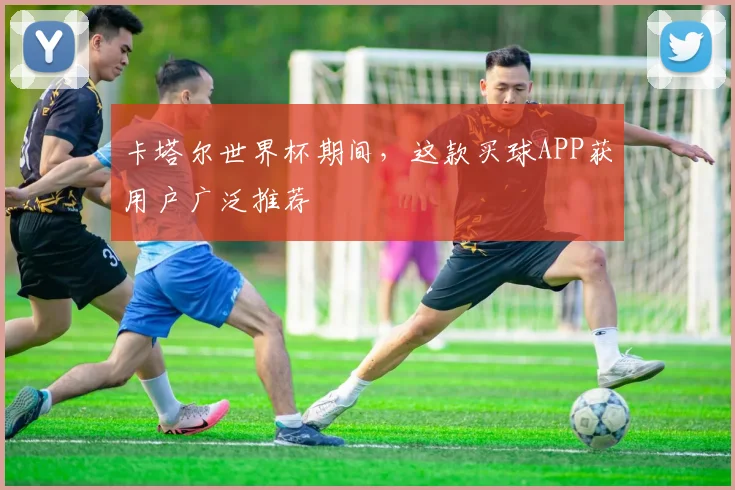 卡塔尔世界杯期间，这款买球APP获用户广泛推荐