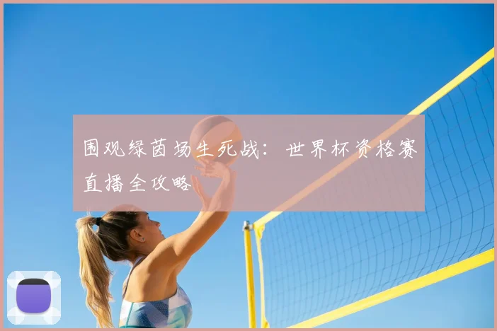 围观绿茵场生死战:世界杯资格赛直播全攻略