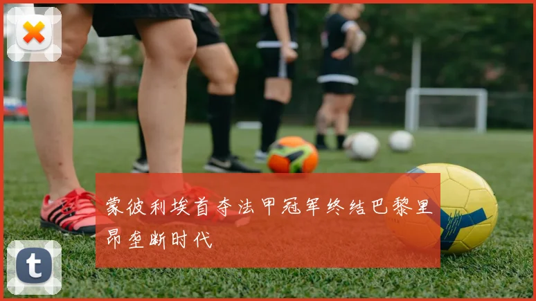 蒙彼利埃首夺法甲冠军终结巴黎里昂垄断时代