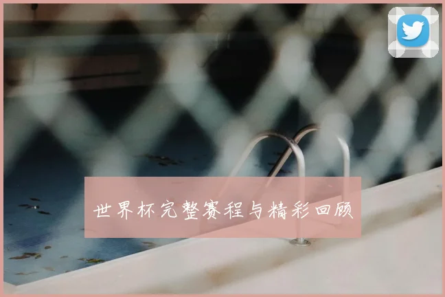 世界杯完整赛程与精彩回顾